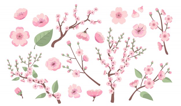 咲く桜の枝