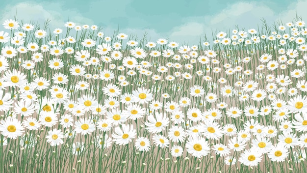 Бесплатное векторное изображение Цветущая белая ромашка цветочный фон