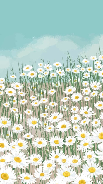 Blooming White Daisy Flower Mobile Phone Wallpaper Vector