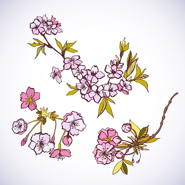 Blossoming sakura decorative elements