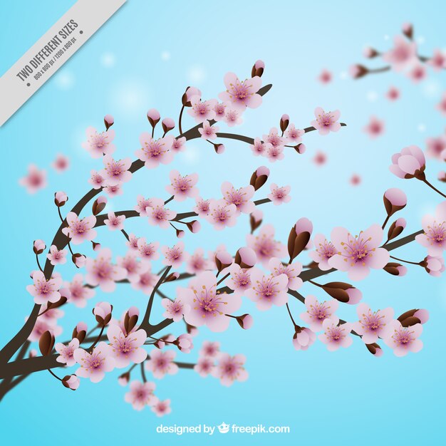 Blue background with cherry blossoms in realistic style