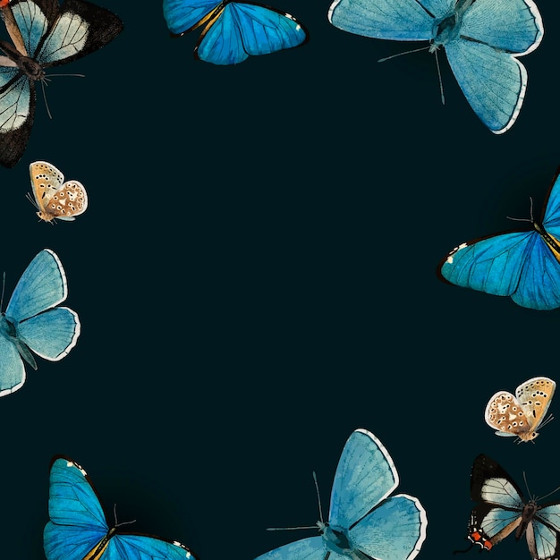 Синие бабочки с рисунком на черном фоне