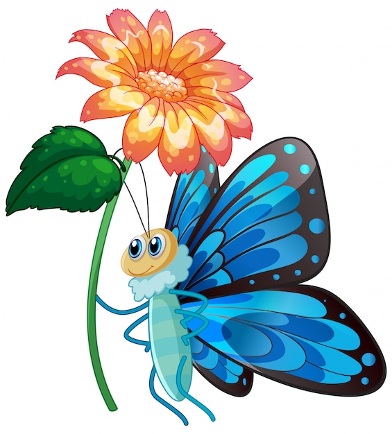 흰색 배경에 파란색 나비 지주 꽃