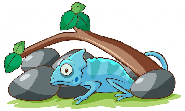Бесплатное векторное изображение Голубой хамелеон под веткой