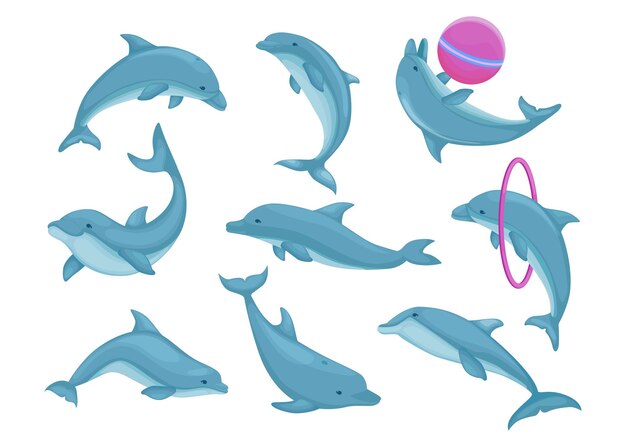水中海イルカ イラスト 青い海の水で魚 海洋水生哺乳類動物 サンゴとサンゴ礁の野生生物 プレミアムベクター