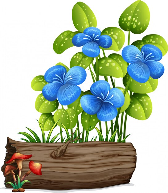 파란 꽃과 버섯