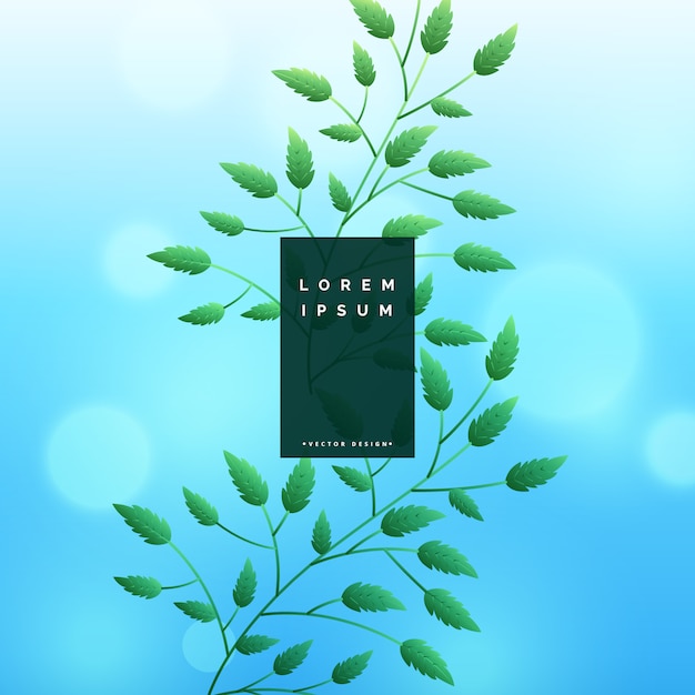 Бесплатное векторное изображение Фон с синими листьями с эффектом боке