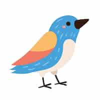 Free vector blue little bird