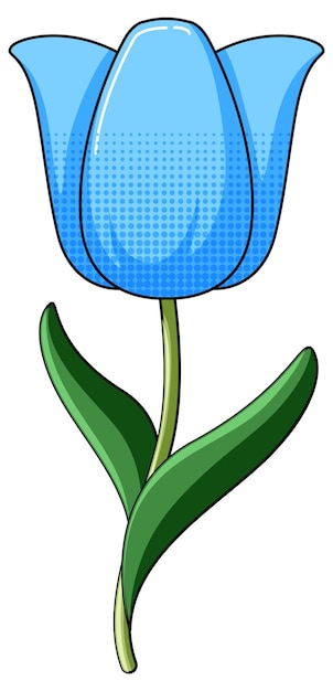 Blue tulip flower with leaves