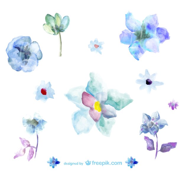 블루 수채화 꽃 일러스트