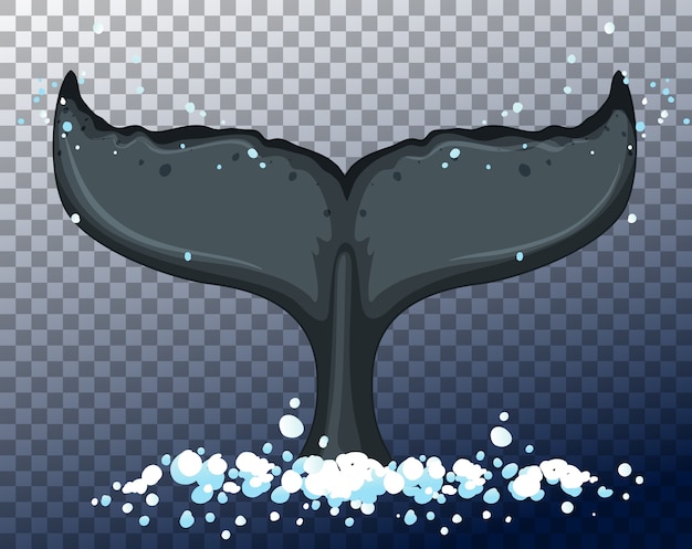 Blue whale tale in water on transparent
