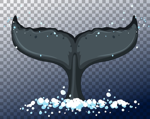 Free vector blue whale tale in water on transparent