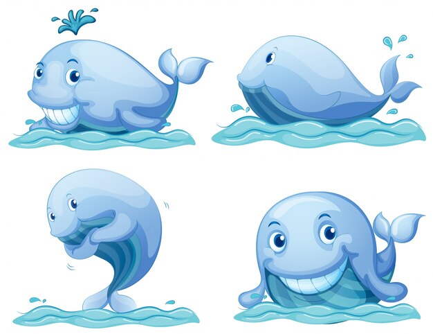 Голубые киты
