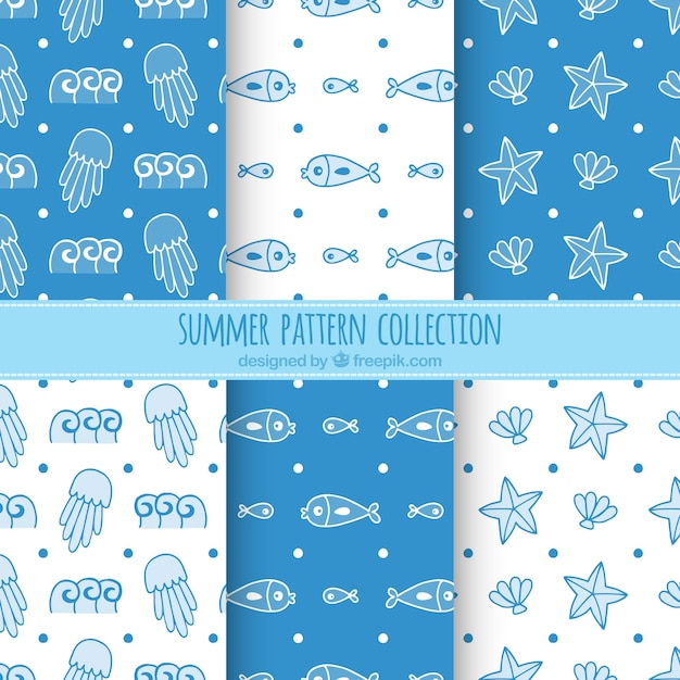 Blue and white summer pattern collection