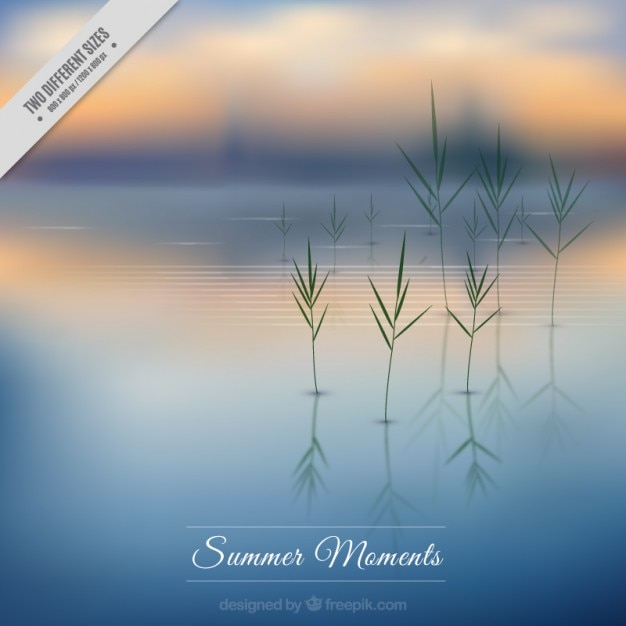 Free vector blurred background of a lake