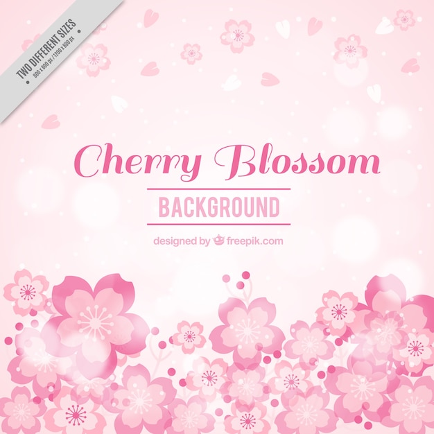 Blurred cherry blossom background in pink tones