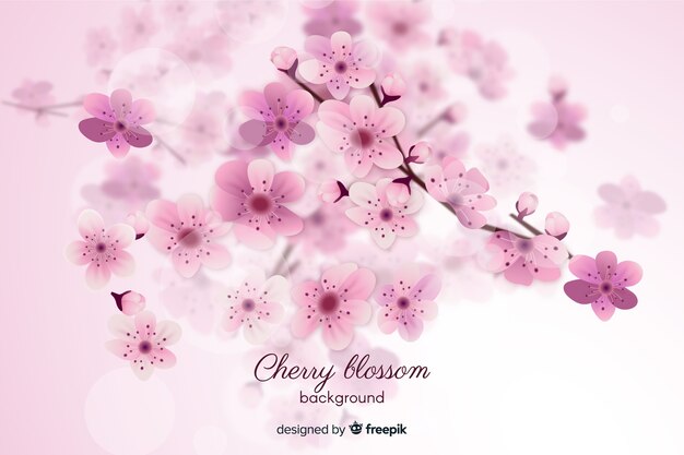 Blurred cherry blossom background