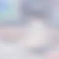 Free vector blurred light background