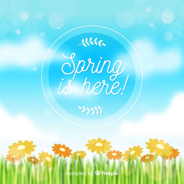 Free vector blurred sky spring background