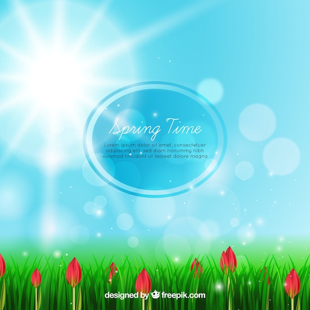 Free vector blurred spring background