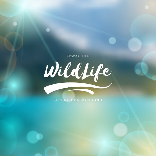 Blurred wildlife background