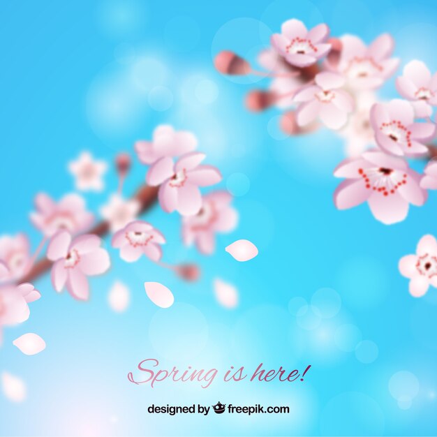 ぼやけた桜の背景