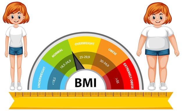 무료 벡터 두 숫자 bmi 척도