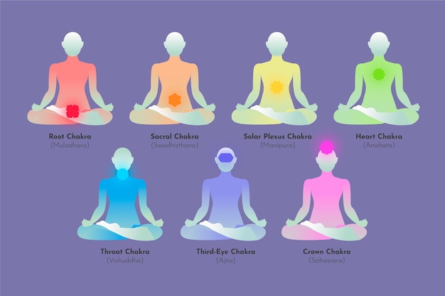 Free vector body chakras collection