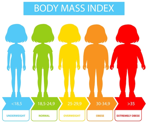 Бесплатное векторное изображение Категории индекса массы тела