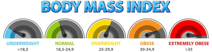 Free Vector body mass index categories
