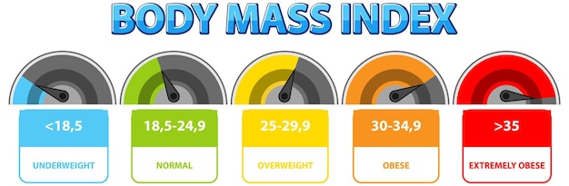 Free vector body mass index categories