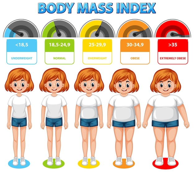 무료 벡터 신체 질량 지수 차트 일러스트레이션