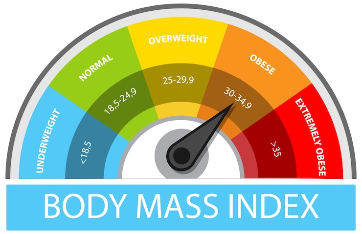Free Vector body mass index gauge illustration