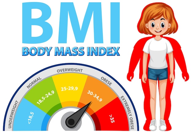 Free vector body mass index illustration