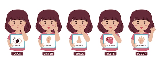 Free vector body parts illustration with little girl