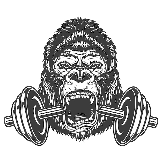 Vettore gratuito concetto di bodybuilding con gorilla