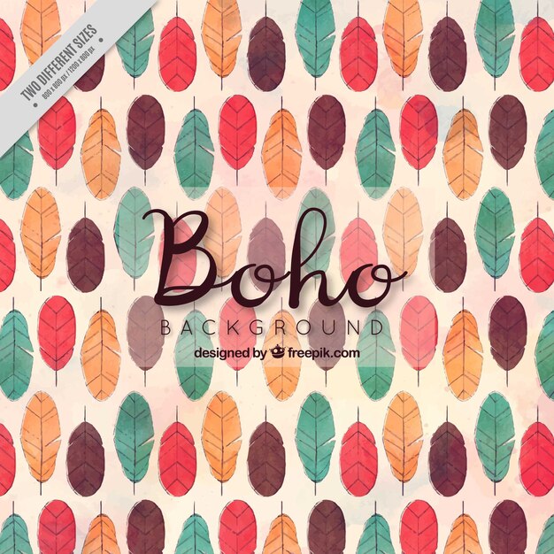 색된 깃털을 가진 Boho 배경