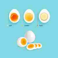 Free vector boiled eggs stages set