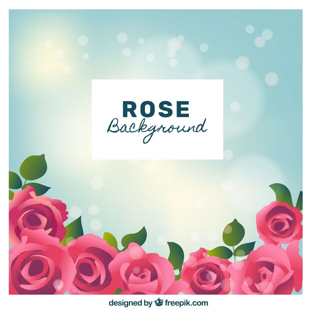 Flowers Rose Images - Free Download on Freepik