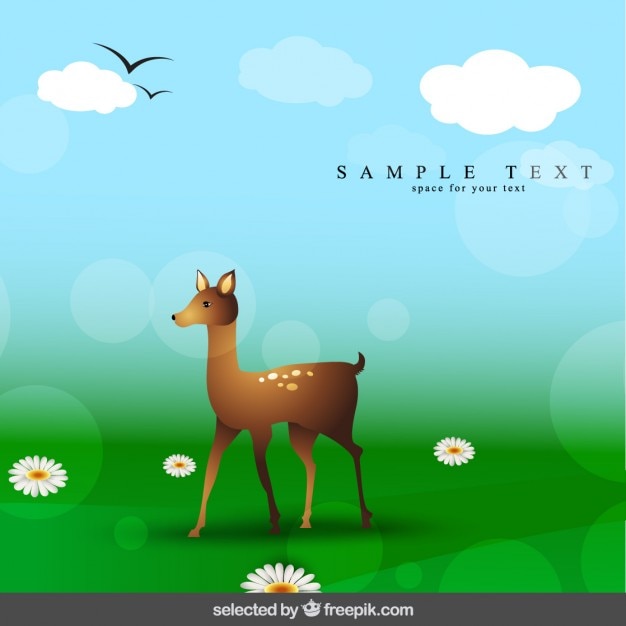 Bokeh background with fawn