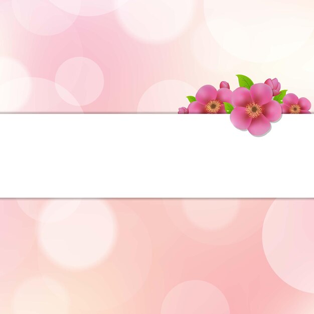グラデーションの美しい桜の花の背景 プレミアムベクター