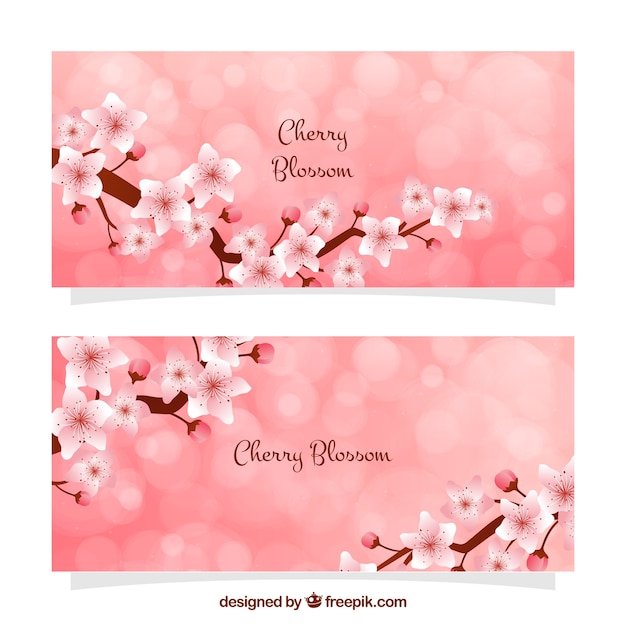 Bokeh banners with decorative cherry blossoms