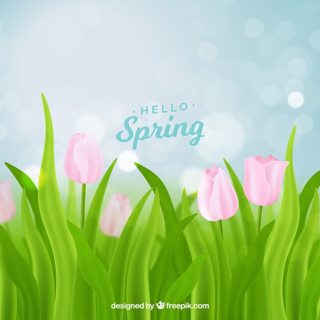 Bokeh spring background