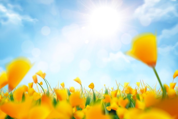 Bokeh yellow flowers and blue sky background in 3d illustration