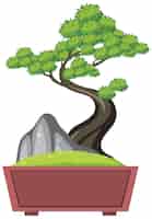 Vettore gratuito albero dei bonsai in vaso su fondo bianco