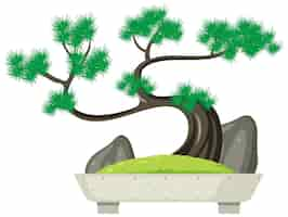 Free vector bonsai tree in pot on white background