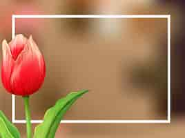 Free vector border background with tulip flower