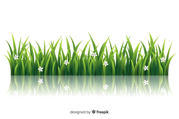 Border of grass realistic style