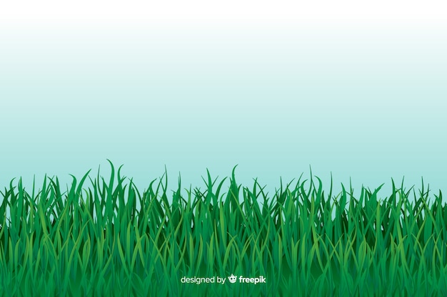 Border of grass realistic style