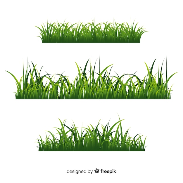 Border of grass realistic style